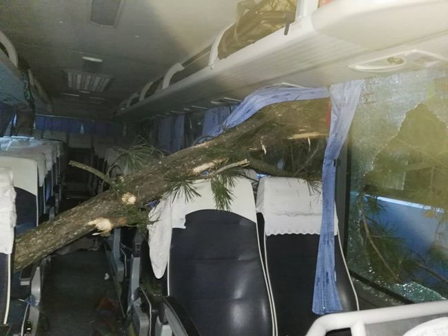 一個(gè)都不能少——國(guó)旅四川公司導(dǎo)游董一平帶領(lǐng)游客脫險(xiǎn)側(cè)記（圖）